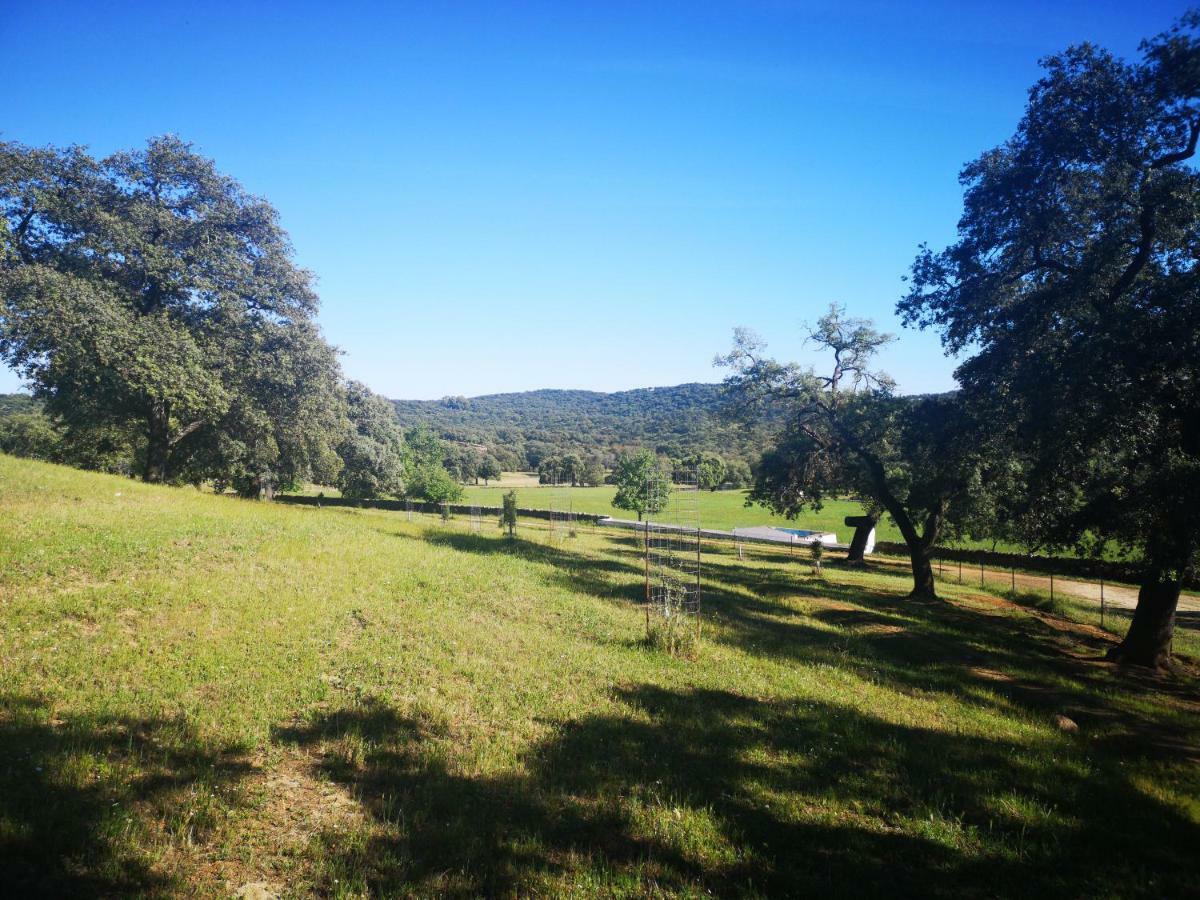 Casa Rural La Dehesilla Cazalla de la Sierra Eksteriør bilde