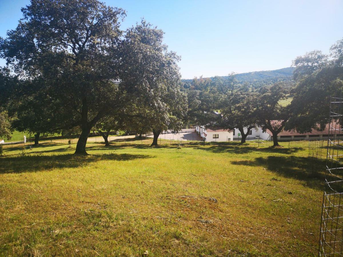Casa Rural La Dehesilla Cazalla de la Sierra Eksteriør bilde